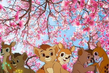 Симба и Бакки - друзья  навсегда.jpg