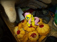 Fluttershy and pechenie (1).JPG