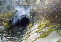 Olgfox-2007 (1).jpg