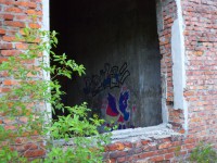DSC06286.JPG